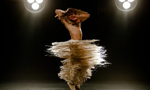 2015_árvore_do_esquecimento-de-Jorge-Garcia_foto_sylvia_masini-1-1_pp