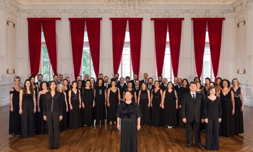 CoralPaulistano-porWilianAguiar_site2 CoralPaulistano-porWilianAguiar_site2